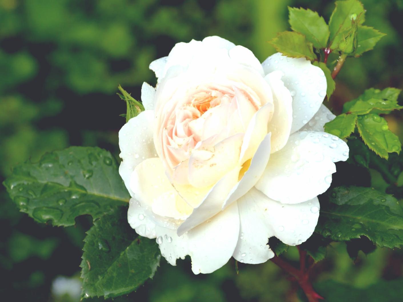 Detalle de arreglo floral que muestra la técnica especializada en composiciones estacionales